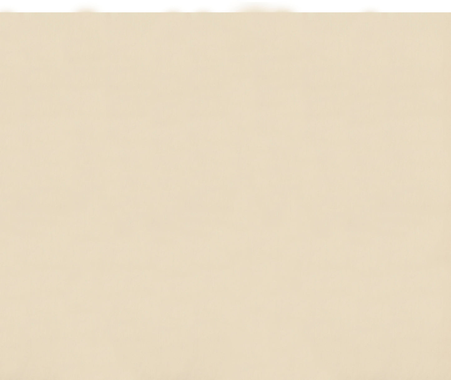 Duck Cloth Futon Mattress 8"